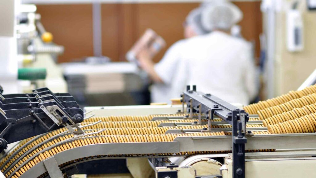 Biscuits in a food manufacturing plant